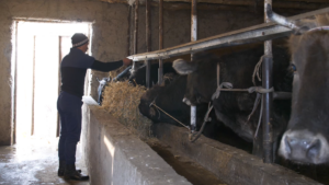 “Zerkalo Central Asia” to conduct a baseline study for the “Access to Markets” Project