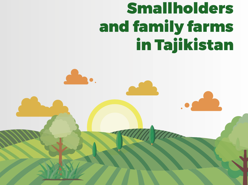 Smallholders and family farms in Tajikistan_Country Study Report