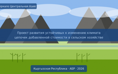 «Зеркало Центральная Азия» проводит базовое исследование в рамках проекта АБР по развитию агропродовольственных цепочек Кыргызстана 